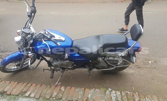 Buy Used Bajaj AVENGER Blue Bike in Lalitpur in Bagmati Buy Used Bajaj AVENGER Blue Bike in Lalitpur in Bagmati