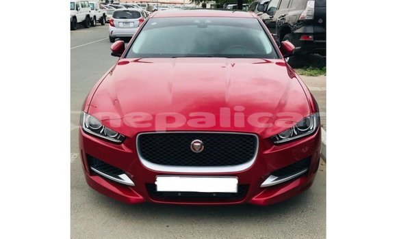 Buy Import Jaguar XE Red Car in Import - Dubai in Bagmati Buy Import Jaguar XE Red Car in Import - Dubai in Bagmati