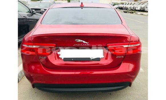 Buy Import Jaguar XE Red Car in Import - Dubai in Bagmati Buy Import Jaguar XE Red Car in Import - Dubai in Bagmati