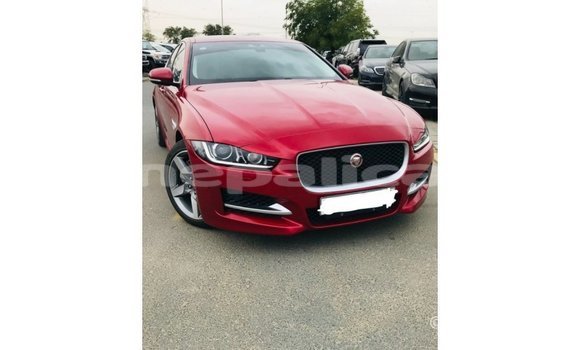 Buy Import Jaguar XE Red Car in Import - Dubai in Bagmati Buy Import Jaguar XE Red Car in Import - Dubai in Bagmati