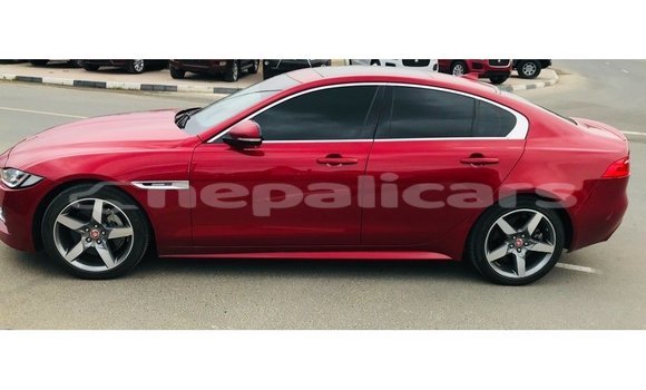 Buy Import Jaguar XE Red Car in Import - Dubai in Bagmati Buy Import Jaguar XE Red Car in Import - Dubai in Bagmati