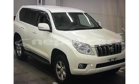 Buy Import Toyota Prado White Car in Import - Dubai in Bagmati Buy Import Toyota Prado White Car in Import - Dubai in Bagmati
