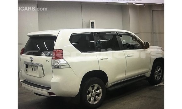 Buy Import Toyota Prado White Car in Import - Dubai in Bagmati Buy Import Toyota Prado White Car in Import - Dubai in Bagmati